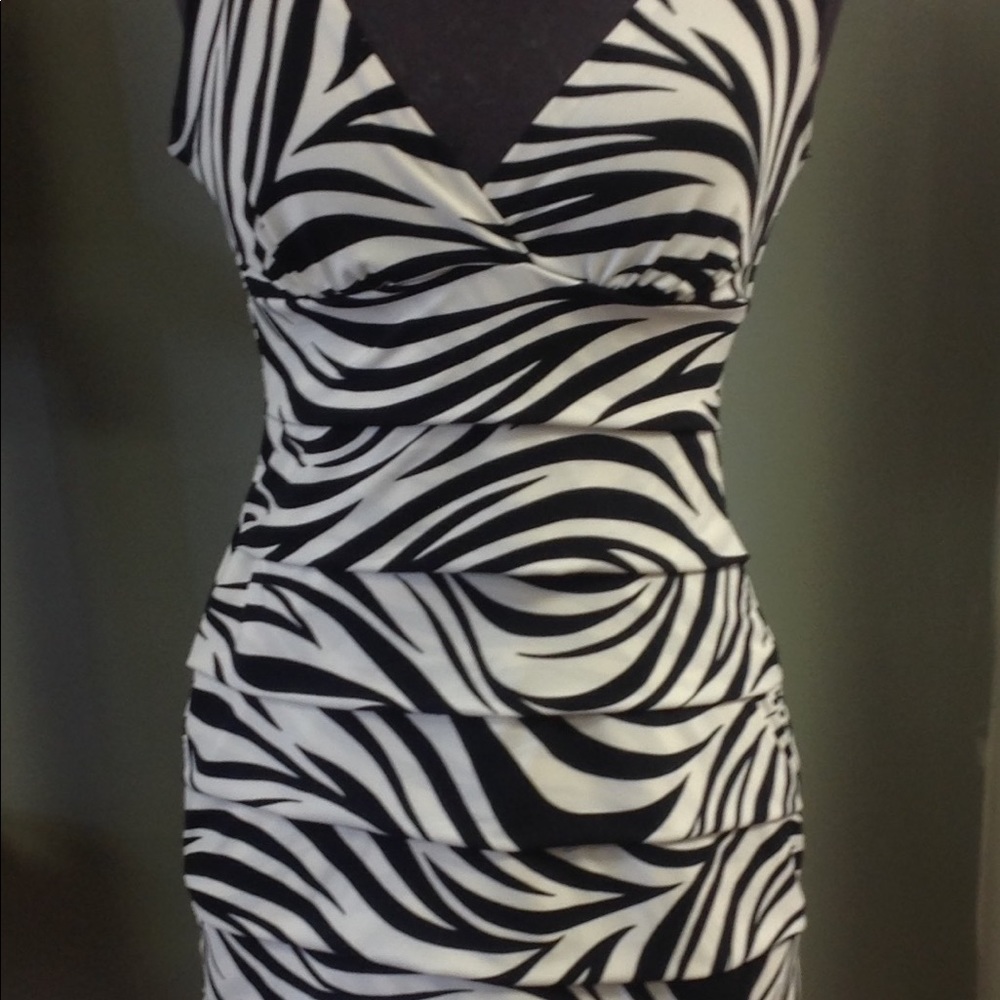 Enfocus Studio Zebra Print Sleeveless Dress